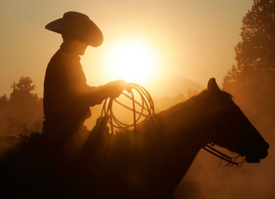 a man sits on a horse with the reins looped in his hand. the sun is setting bright behind him so he is in silhouette.