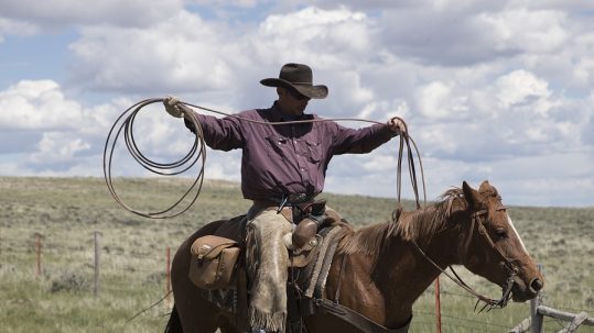 a man on a horse holding rope out, looping it into a lasso