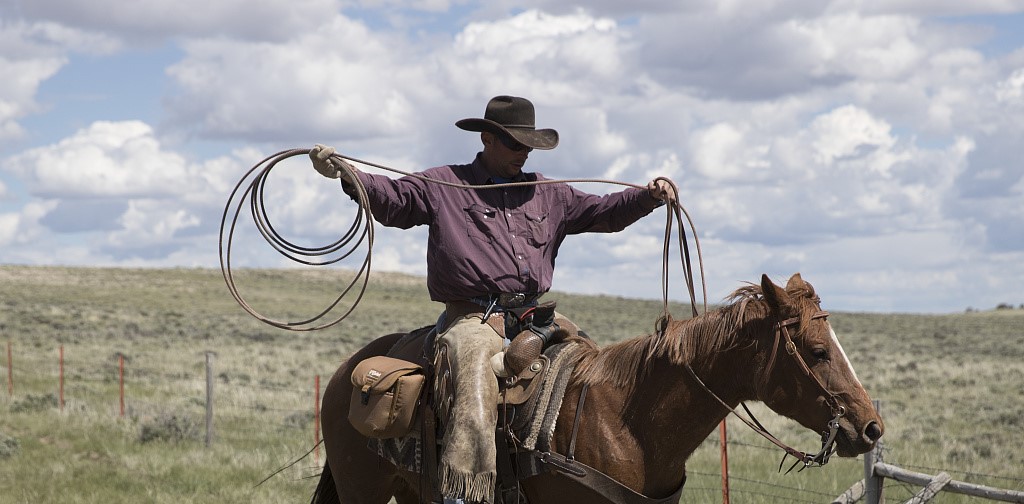 a man on a horse holding rope out, looping it into a lasso