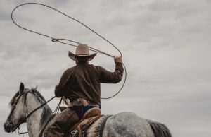 a man on a horse swinging a lasso above his head