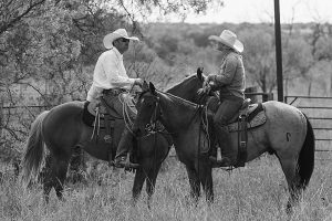 two men on horses, standing in a field facing towards each other