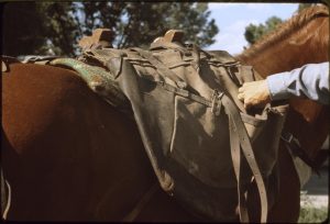 A close up image of a horse's pack saddle. A hand is reaching into one of the pockets.