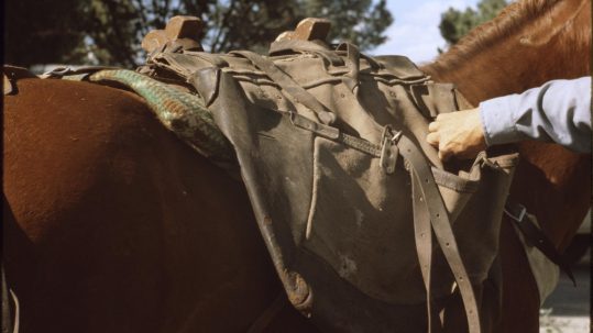 A close up image of a horse's pack saddle. A hand is reaching into one of the pockets.