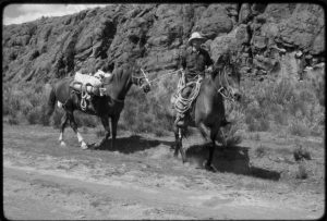 A man rides a horse, holding the reins of a second horse out to lead it behind him.