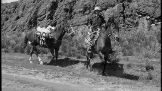 A man rides a horse, holding the reins of a second horse out to lead it behind him.