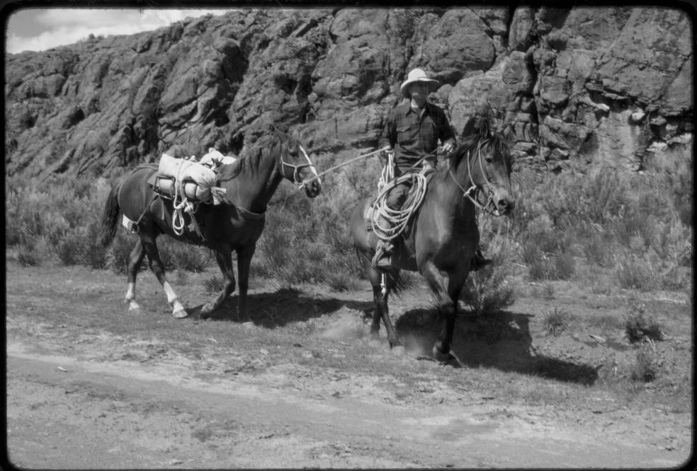 A man rides a horse, holding the reins of a second horse out to lead it behind him.