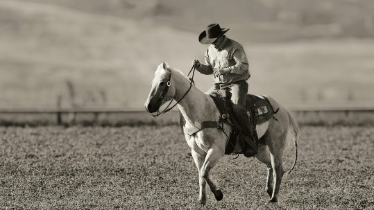A man riding on the back of a white horse.