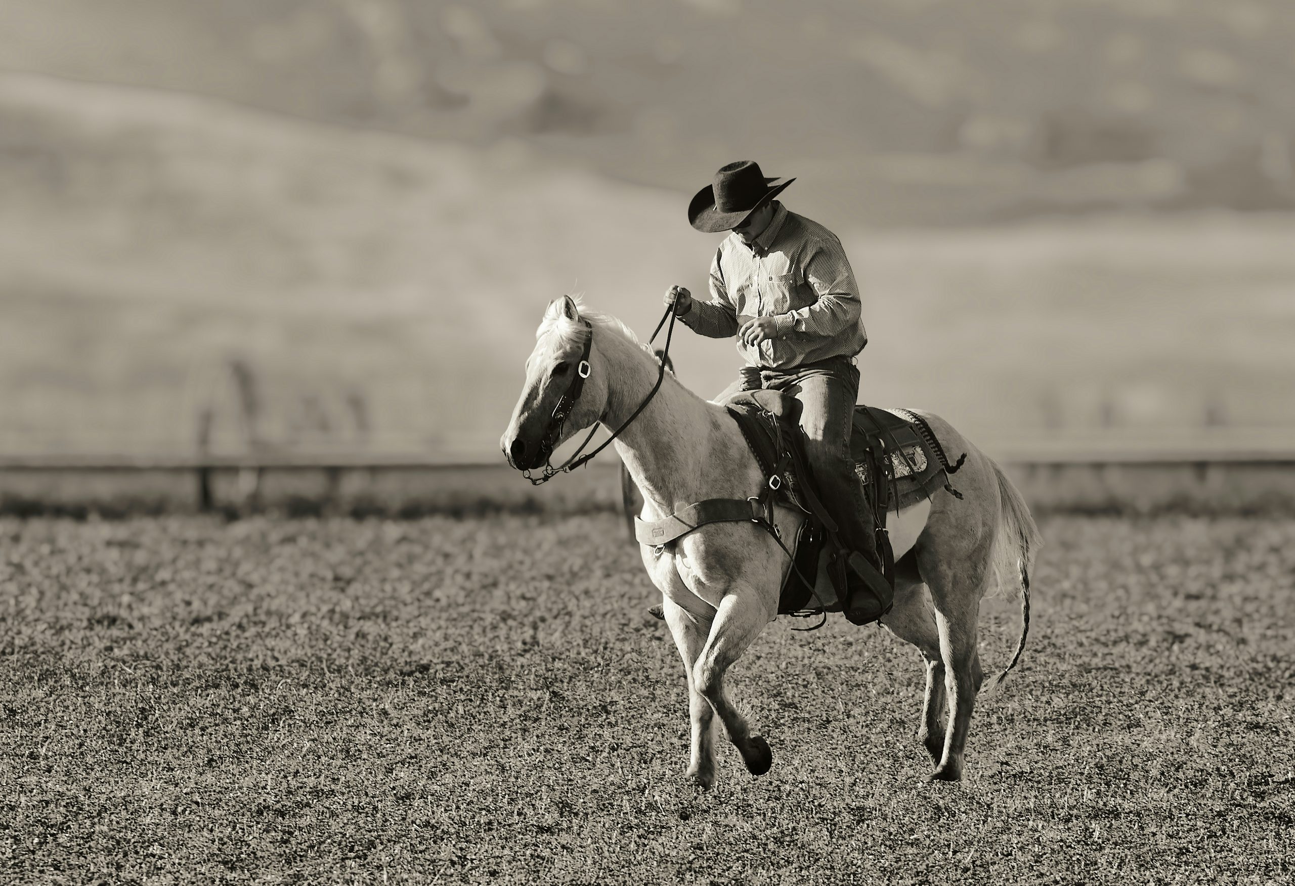 A man riding on the back of a white horse.